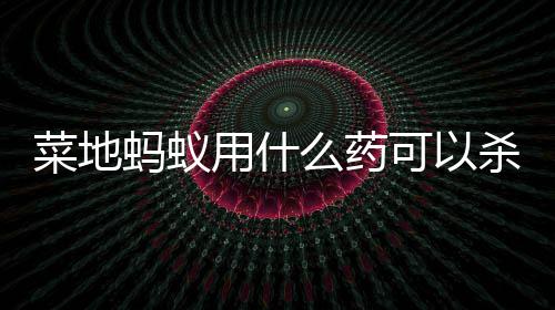 蚂蚁么药用什可以菜地杀死